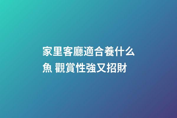 家里客廳適合養什么魚 觀賞性強又招財